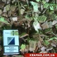 ЩЕПА ТЕХНОЛОГИЧЕСКАЯ