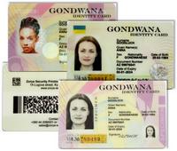 ПОШТОВІ МАРКИ, ГЕРБОВІ (АКЦИЗНІ) МАРКИ, ДОКУМЕНТИ СУВОРОГО ОБЛІКУ, КРЕДИТНІ КАРТКИ З МІКРОЧІПАМИ (СМАРТ-КАРТКИ), БАНКІВСЬКІ ЧЕКИ І БЛАНКИ ЦІННИХ ПАПЕРІВ ІНШІ І ВИРОБИ ПОДІБНІ, ВІДДРУКОВАНІ